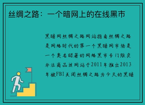 丝绸之路：一个暗网上的在线黑市
